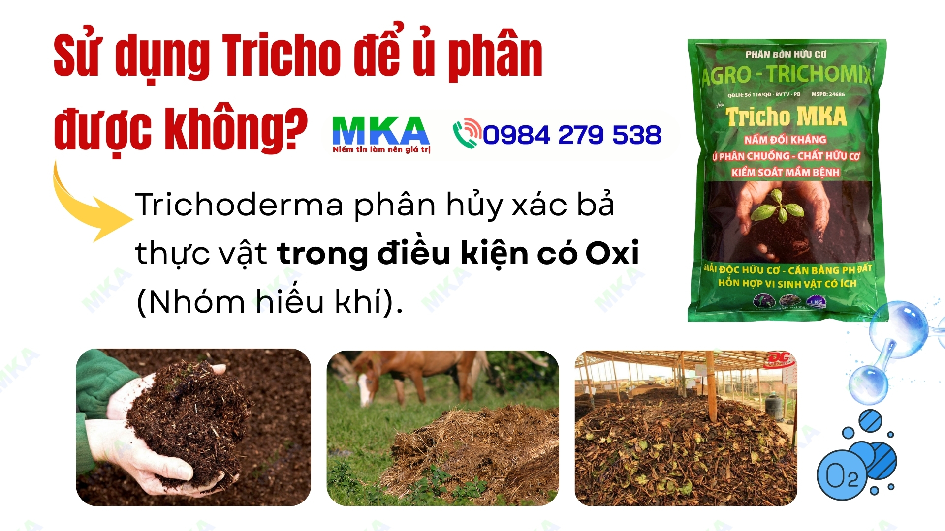 Nấm đối kháng trichoderma biện pháp sinh học đối kháng nấm bệnh